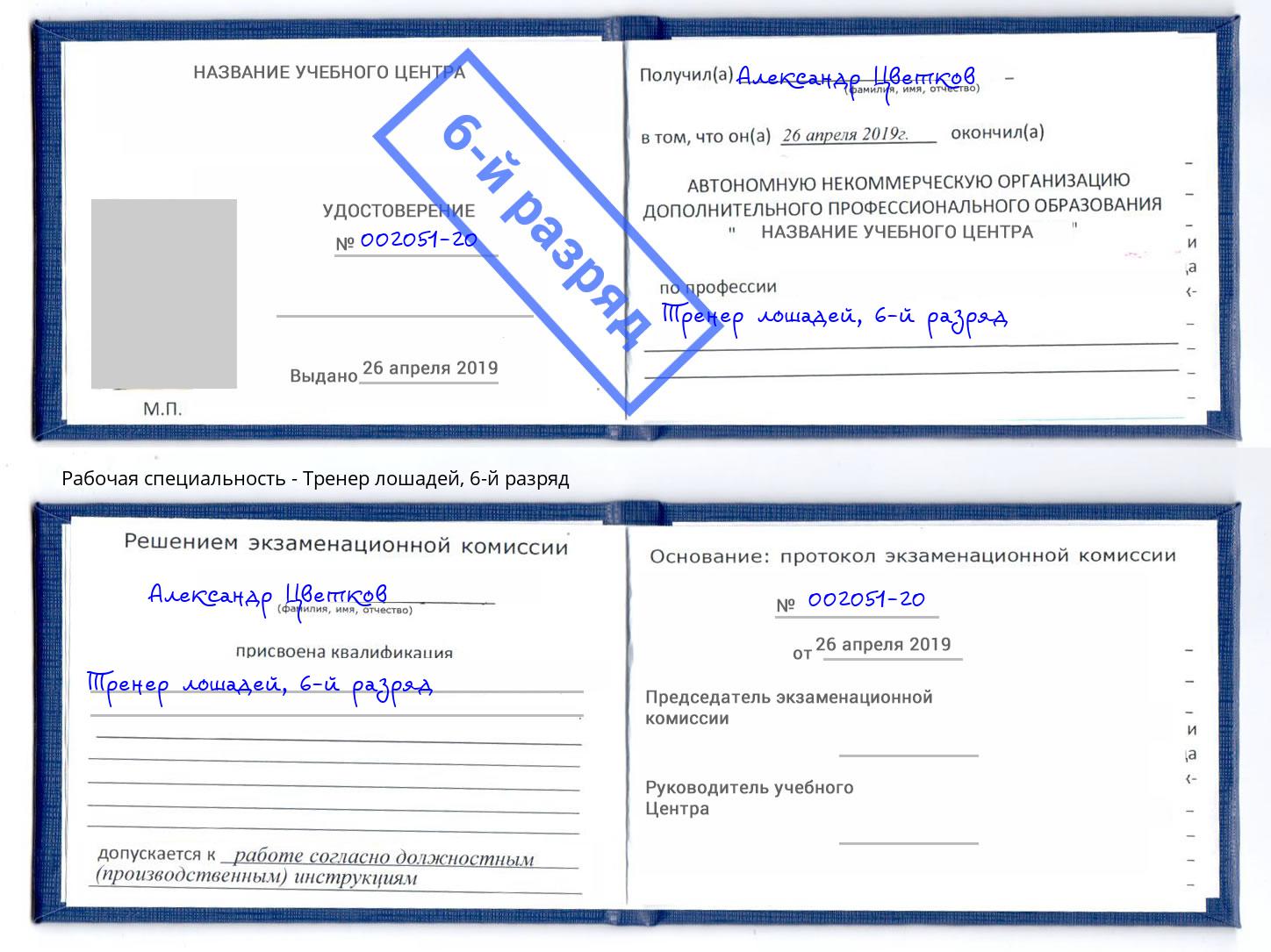корочка 6-й разряд Тренер лошадей Алексин