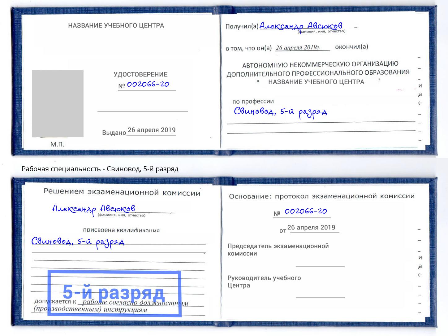 корочка 5-й разряд Свиновод Алексин